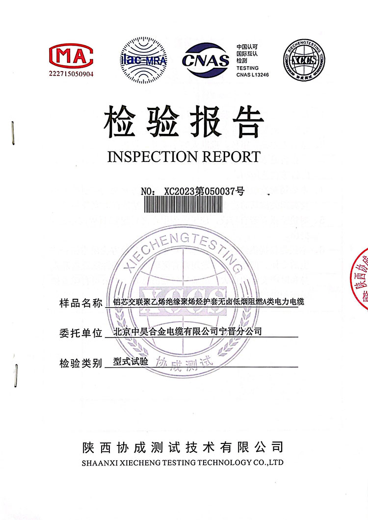 檢驗報告