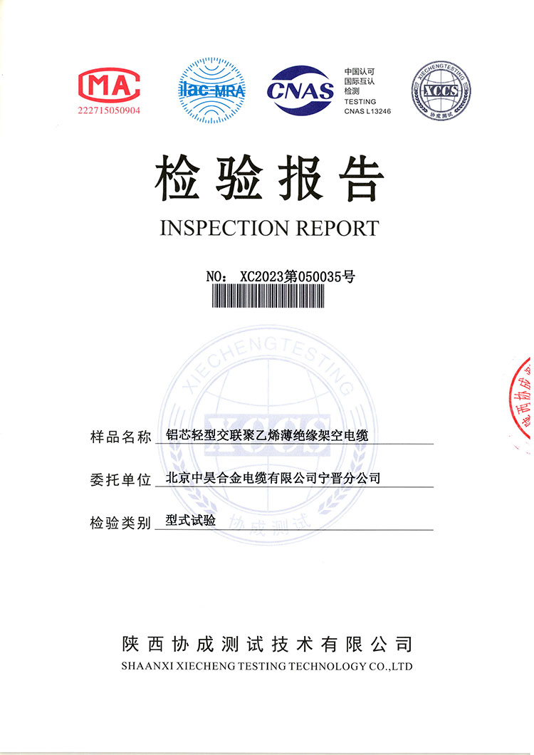 檢驗報告