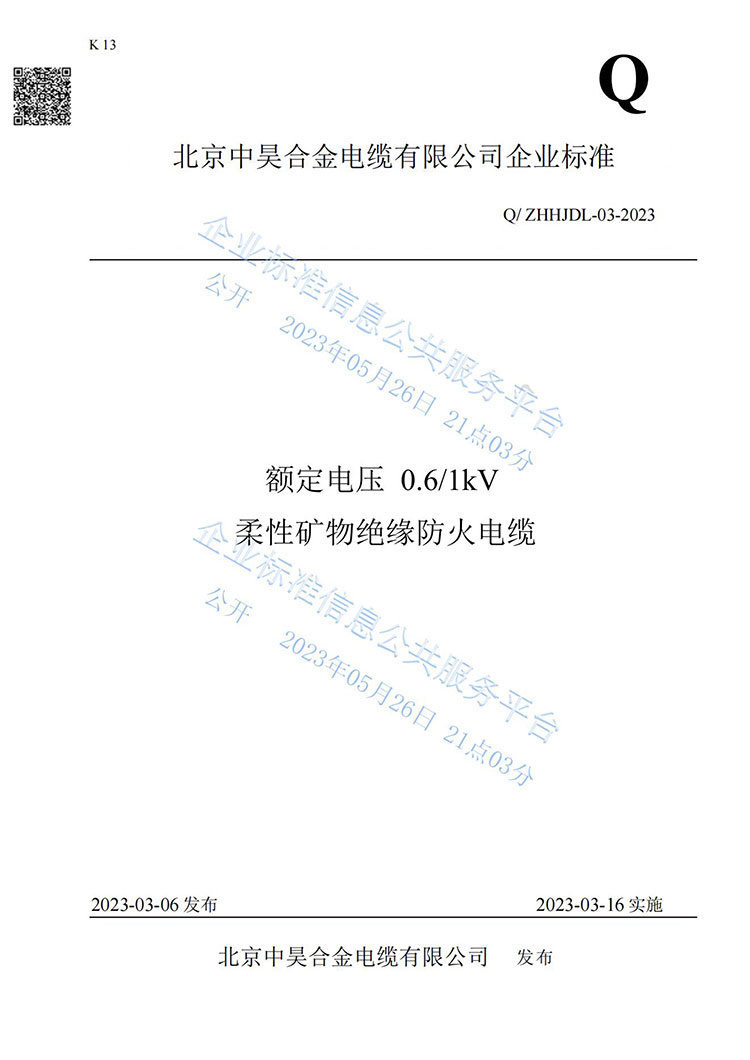 企業(yè)標準